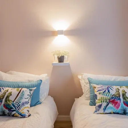 Luna & Stella By Rent